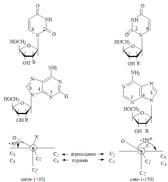 Вуглеводні компоненти нуклеозидів - student2.ru