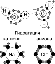 Введение. Химические элементы клетки. Вода и другие неорганические соединения - student2.ru