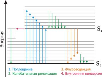 Введение в квантовую биофизику. Фотобиологические процессы - student2.ru