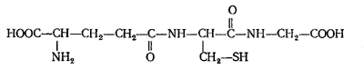 Белки – непериодические полимеры. Строение и свойства аминокислот - student2.ru