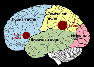 Высшие психические функции - student2.ru