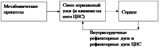 Вывод дифференциального уравнения свободного колебания - student2.ru