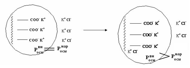 Эффект Доннана. Мембранное равновесие Доннана - student2.ru