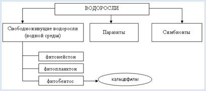 Экологические группы водорослей - student2.ru