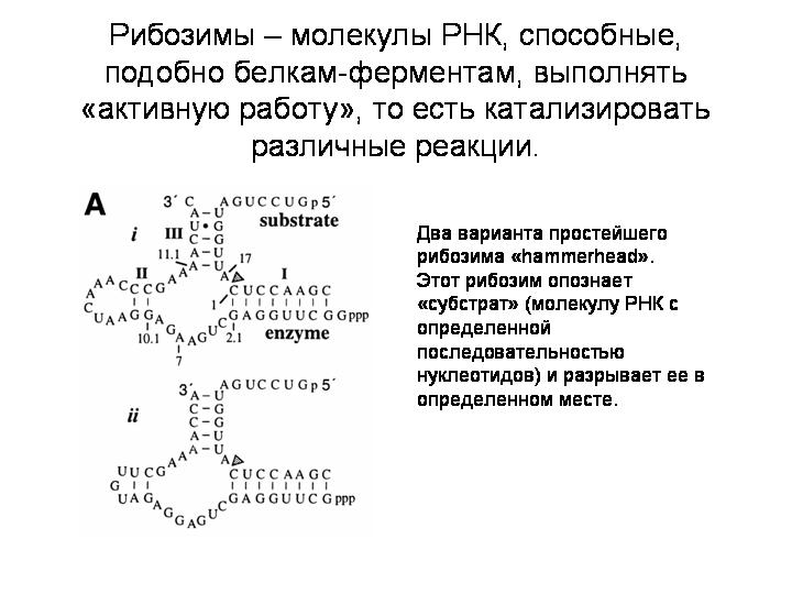 Эксперимент, подтверждающий положительное влияние скрытой изменчивости на скорость приспособления к новым условиям. - student2.ru