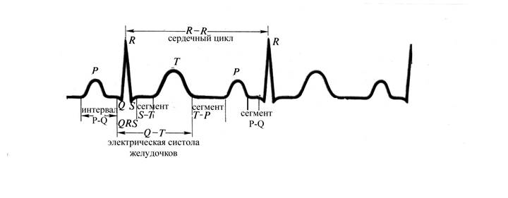 Электрокардиография как один из методов оценки функционального состояния сердца - student2.ru