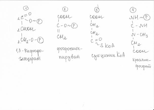 Энергетика сопряжённых реакций на примере фосфорилирования глюкозы - student2.ru