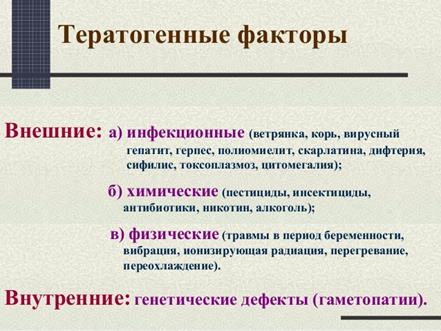 Этапы. Периоды и стадии онтогенеза - student2.ru