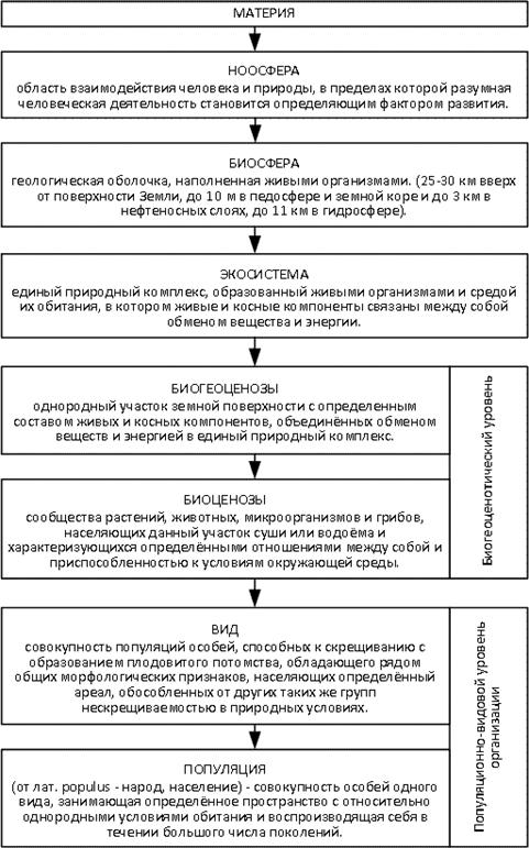 Структурные уровни биологической организации материи - student2.ru