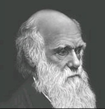 Эволюционное учение и основные положения теории Ч.Дарвина. - student2.ru