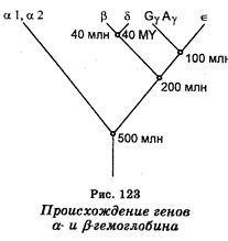 Эволюция генов и геномов клеток - student2.ru