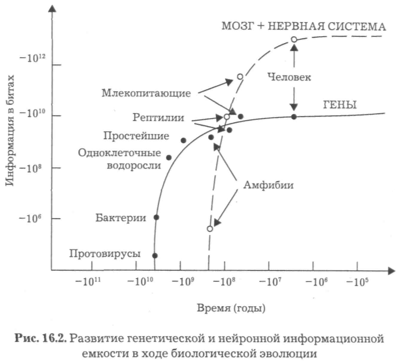 Эволюция культуры человека. Социобиология - student2.ru