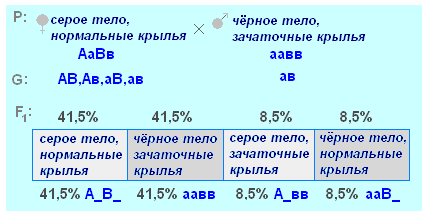 ЗАДАЧА. Определите генотипы родительских растений гороха, если при их скрещивании образовалось 50% растений с жёлтыми и 50% - с зелёными семенами (рецессивный признак) - student2.ru