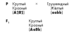 Задачи для самостоятельного решения. 6. У человека ген дальнозоркости доминирует над геном нормального зрения - student2.ru