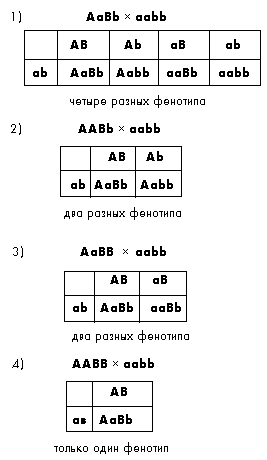 Задачи для самостоятельного решения. 6. У человека ген дальнозоркости доминирует над геном нормального зрения - student2.ru