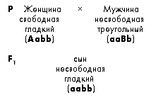 Задачи для самостоятельного решения. 6. У человека ген дальнозоркости доминирует над геном нормального зрения - student2.ru