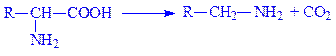 загальні хімічні властивості амінокислот, які визначаються властивостями карбоксильної і аміногруп - student2.ru
