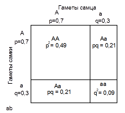 Закон Харди – Вайнберга. Закон Пирсона - student2.ru