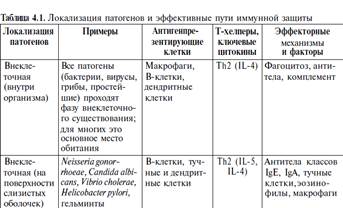 Защита против внеклеточных бактерий - student2.ru