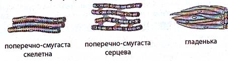 Завдання 1. Виявлення крохмалю та глюкози. для лабораторних і практичних робіт - student2.ru