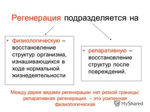 Зрелый период развития человека - student2.ru