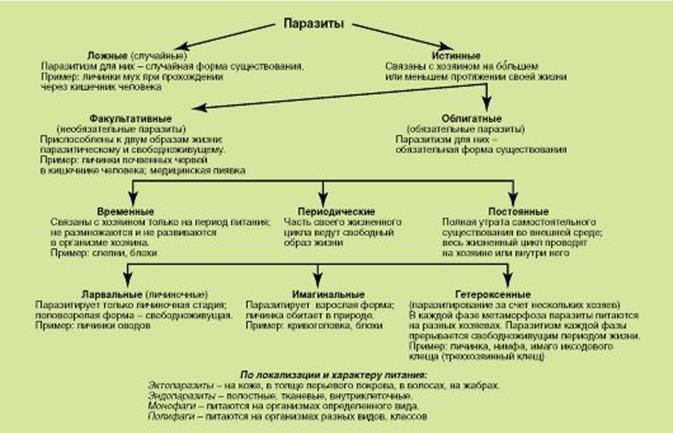 Зрелый период развития человека - student2.ru