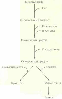 Andio R., D. Silvera, S. D. Suggett, P. L. Achacoso, 5 страница - student2.ru