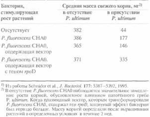 Andio R., D. Silvera, S. D. Suggett, P. L. Achacoso, 9 страница - student2.ru