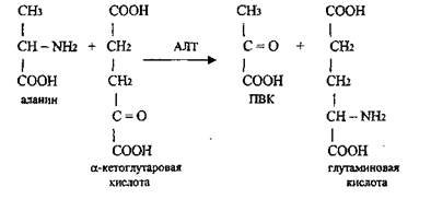 Б) Переаминирование аминокислот - student2.ru