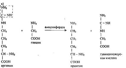 Б) Переаминирование аминокислот - student2.ru