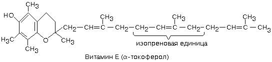 биохимические основы питания человека - student2.ru