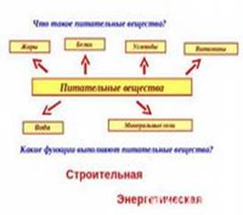 Болезни избыточного питания - student2.ru