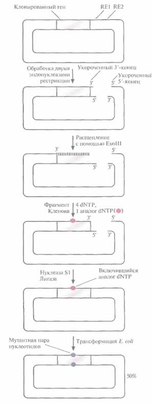 Cockett M. I., С. R. Beddington, G. T. Yarranton - student2.ru