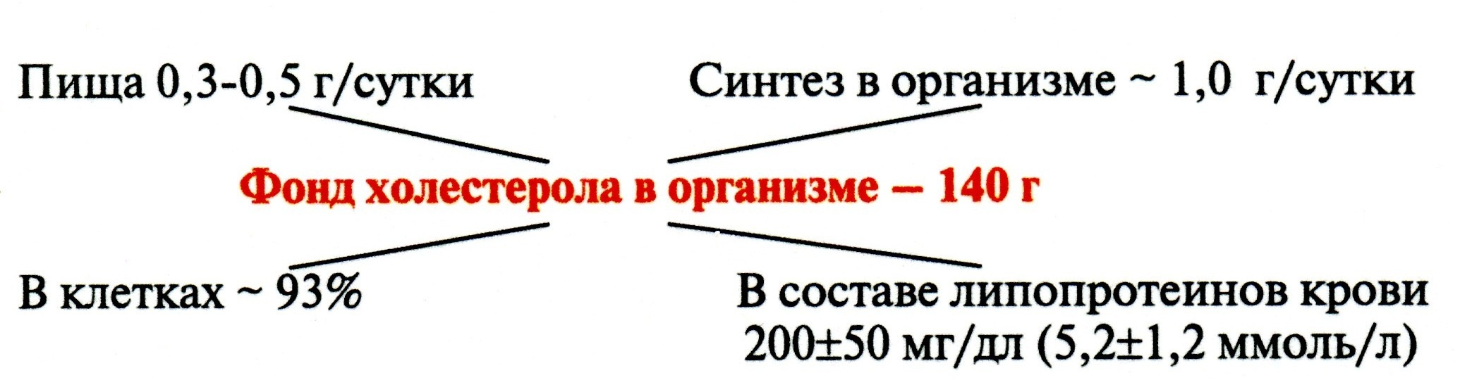 ГМГ-КоA-редуктаза – гликопротеин, пронизывающий мембрану ЭР, активный центр которого выступает в цитозоль - student2.ru