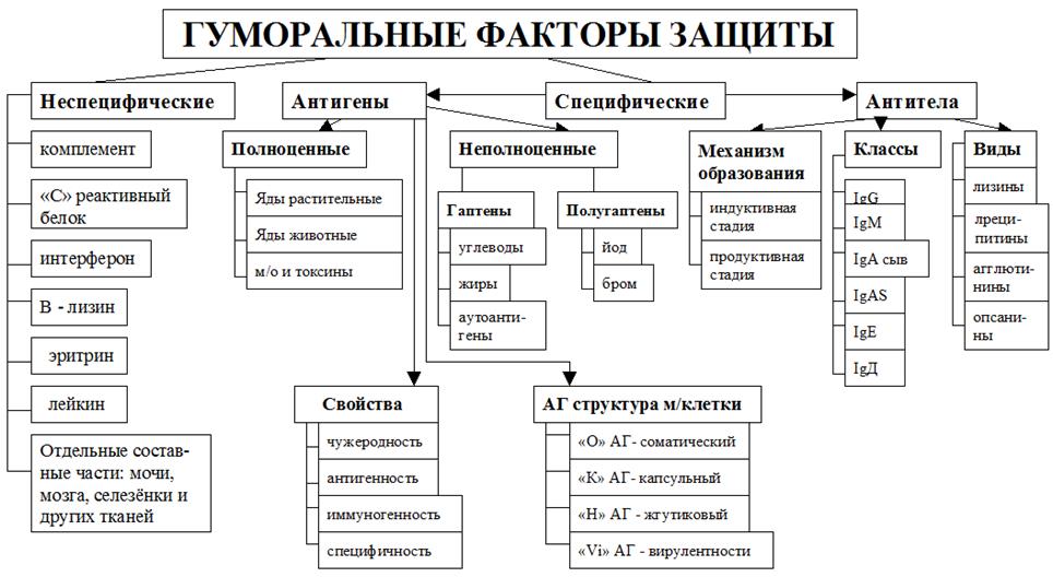 искусственный иммунитет - student2.ru