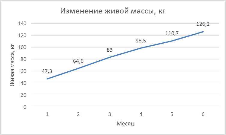 Изменение живой массы у телочек черно-пестрой породы при повышенном уровне кормления - student2.ru