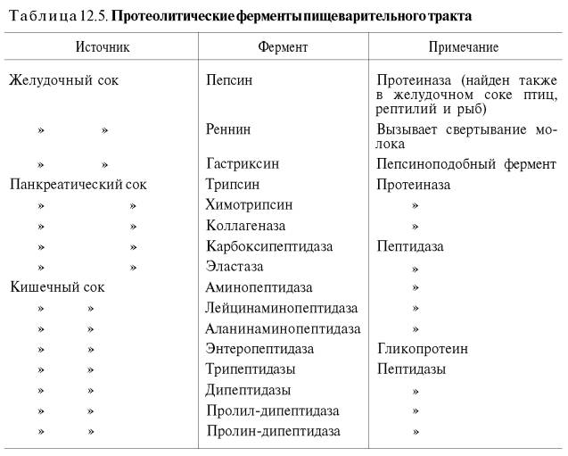 Катаболизм аминокислот в толстом кишечнике - student2.ru