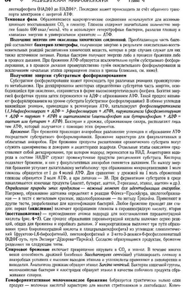 Особенности процесса питания у ГР- - student2.ru