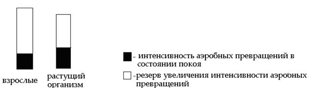 Относительное потребление кислорода детьми и подростками в состоянии покоя - student2.ru