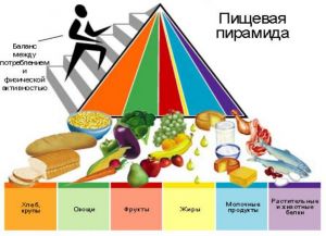 Пирамида здорового питания для детей - student2.ru