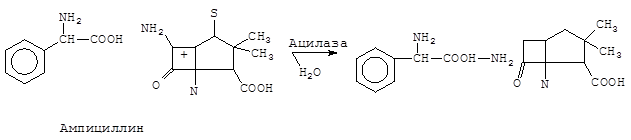 Преимущества некоторых белковых препаратов, получаемых методом генетической инженерии - student2.ru