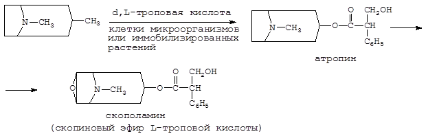 Приведите пример биотрансформации атропина сульфата с помощью культуры клеток растений - student2.ru