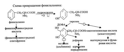 Тема: Обмен и функции аминокислот. 2. Основные вопросы темы - student2.ru