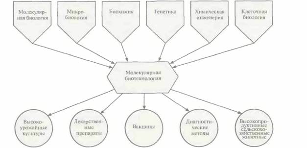 Tobias J. W., T. E. Schrader, G. Rocap, 2 страница - student2.ru