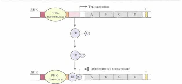 Tobias J. W., T. E. Schrader, G. Rocap, 4 страница - student2.ru