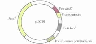 Tobias J. W., T. E. Schrader, G. Rocap, 6 страница - student2.ru