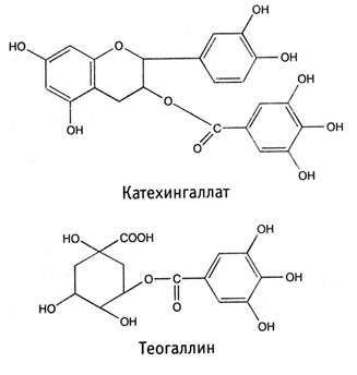 Классификация дубильных веществ - student2.ru