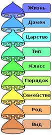 латинский язык для ботаников - student2.ru