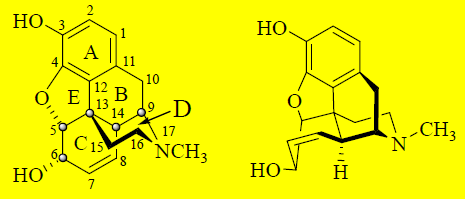 Наркотические анальгетики с сохранённой циклической структурой морфина - student2.ru