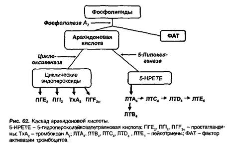 Нестероидные противовоспалительные средства (НПВС) - student2.ru